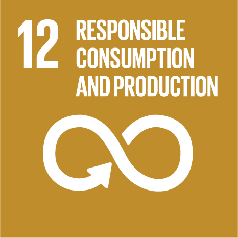 12. Responsible Consumption